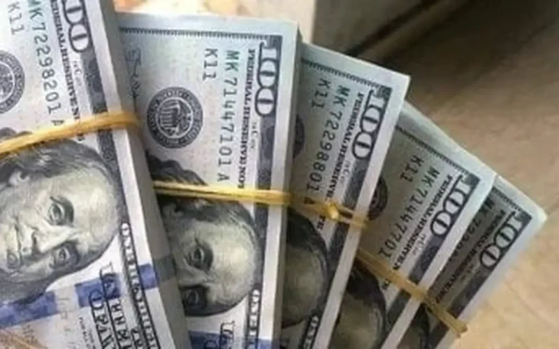 سعر الدولار مقابل الجنيه في تعاملات البنك المركزي المصري اليوم